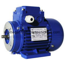 Industry Electrical Motor with Asynchronous Type